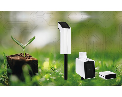 Szene mit Pflanzensensor, Boden und Setzling im Garten