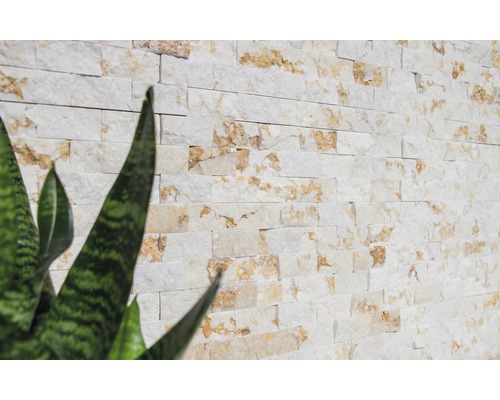 Revêtement mural en pierre naturelle avec des plantes au premier plan