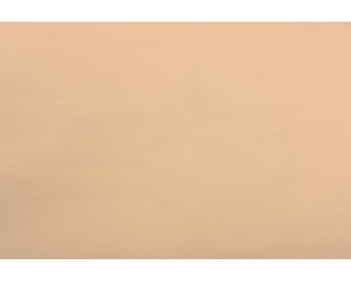 Arrière-plan beige.