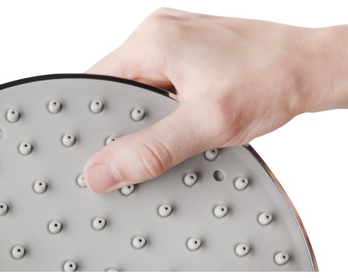Brausekopf mit Antikalkfunktion und Hand
