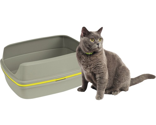 Graue Katzentoilette mit Katze