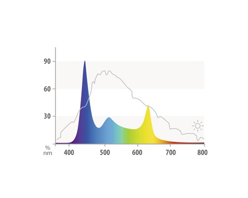 Diagramm zur Lichtspektrumanalyse