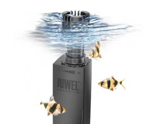 Filtre d''aquarium Juwel avec de l''eau et des poissons