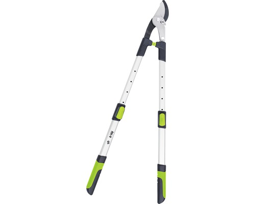 Hocq Astschere mit Teleskopstiel