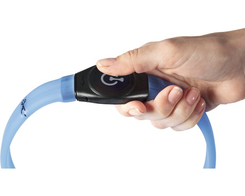 Eine Hand bedient ein Hunde-Leuchthalsband.