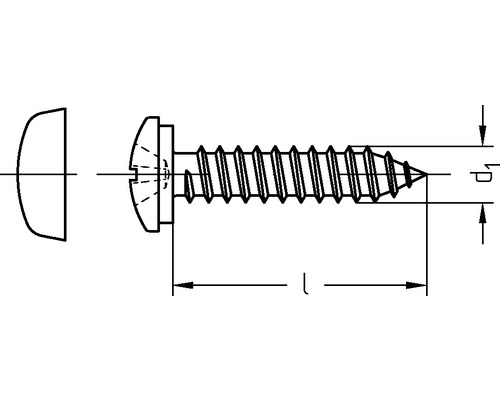 Technische Zeichnung einer Holzschraube mit Linsenkopf