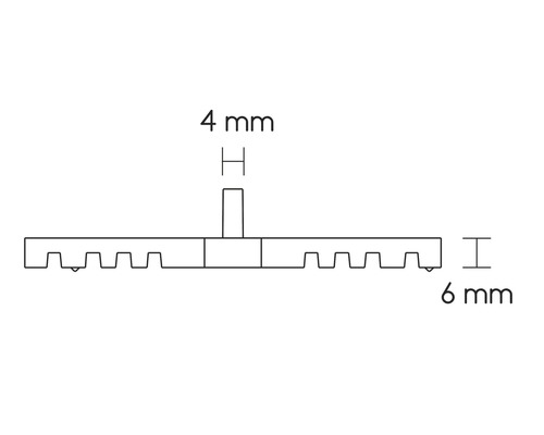 Technische Zeichnung eines Profils mit den Maßen 4 mm und 6 mm.