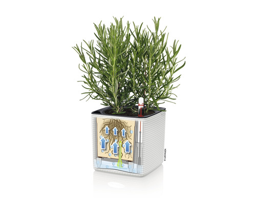 Pot de fleurs carré avec système d''irrigation et plante