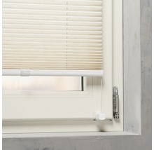 Fenêtre avec store plissé pour le contrôle de la lumière et l''intimité.