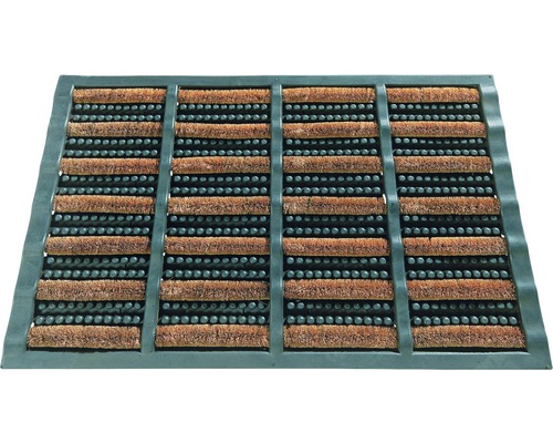 Paillasson avec brosses et picots