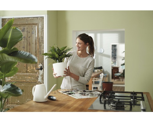 Femme avec une plante d''intérieur en pot dans une pièce.