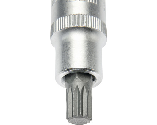 Steckschlüssel-Einsatz mit Innenvielzahn