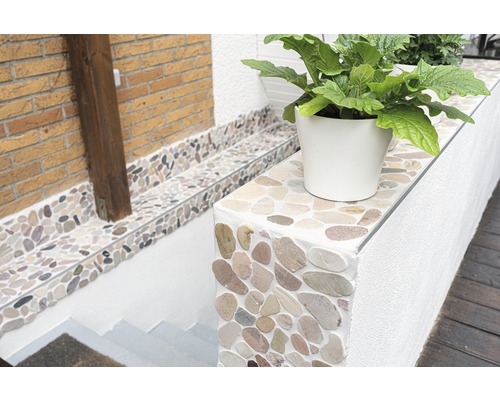 Aussenbereich mit Kiesel Mosaik, Pflanze in einem Topf