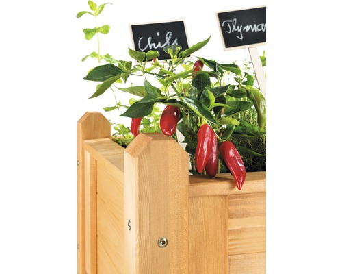 Jardinière en bois plantée de piment et de thym avec des panneaux inscrits