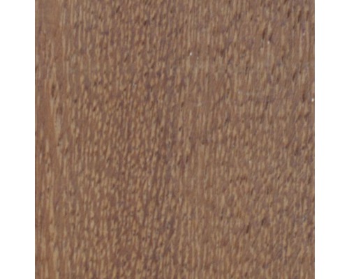 Gros plan de la texture du bois