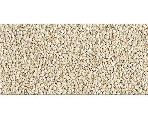 Kit de tapis de pierre 1 m² Ravello fin beige zone intérieure - mur