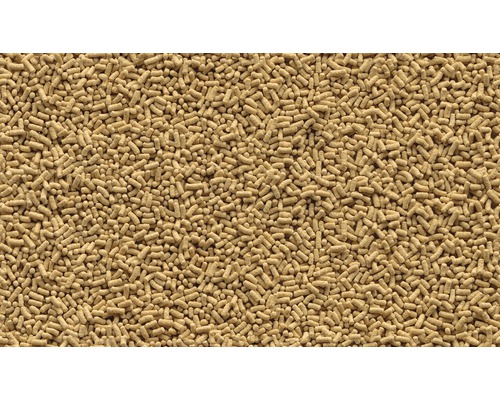 Nahaufnahme von Trockenhefe