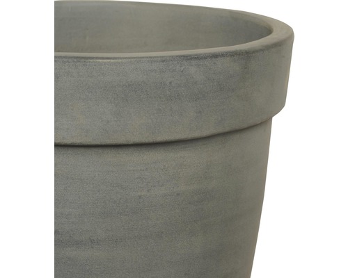 Vue détaillée d''un pot de fleurs