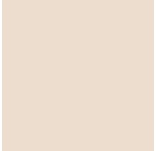 Peinture murale SIGNEO Praline 1 l