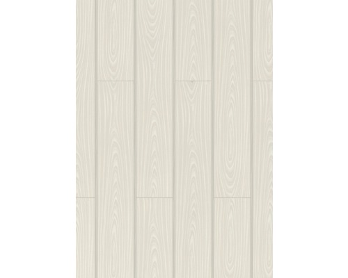 Panneau en bois clair pour revêtement mural ou de plafond