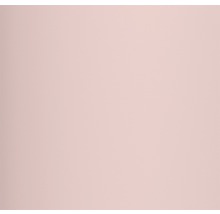 Alpina Feine Farben konservierungsmittelfrei Wolken in Rosé 2,5 L-thumb-1