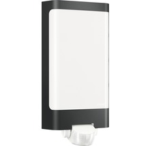 Applique extérieure LED avec capteur Steinel 9,3W 946 lm 3000 K blanc chaud L 305 mm L 240 S anthracite/blanc-thumb-2
