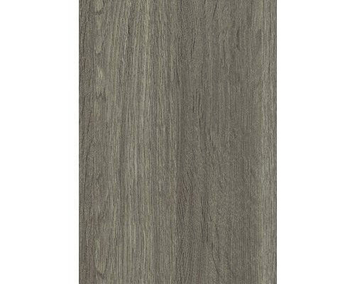 Texture de bois pour les projets de construction et de rénovation