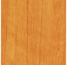 Dekorpaneel Quadro Plus Authentic Apfel 12x200x2000 mm