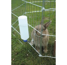 Lapin dans un enclos extérieur avec une bouteille d''eau