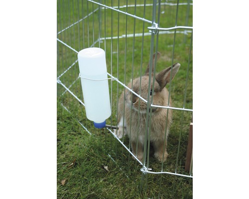 Lapin dans un enclos extérieur avec une bouteille d''eau