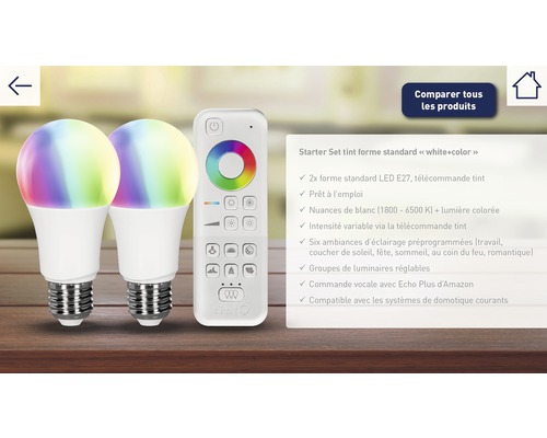 Deux ampoules LED avec douille E27, télécommande incluse