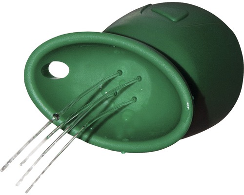 Gréng Gaardebunne mat Waasserstrahl