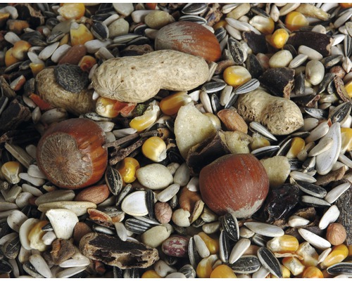 Gros plan sur des aliments pour oiseaux contenant des noix, des graines et du maïs