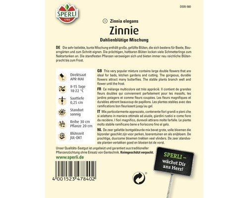 Zinnia Mélange à fleurs de Dahlia Sachet de graines