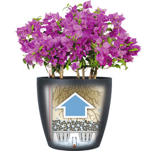 Pot de fleurs Lechuza Classico Color plastique Ø 18 h 17 cm blanc avec système d’arrosage de la terre-thumb-4