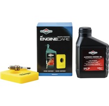Briggs & Stratton Motorwartungsset mit Öl, Luftfilter und Zündkerze