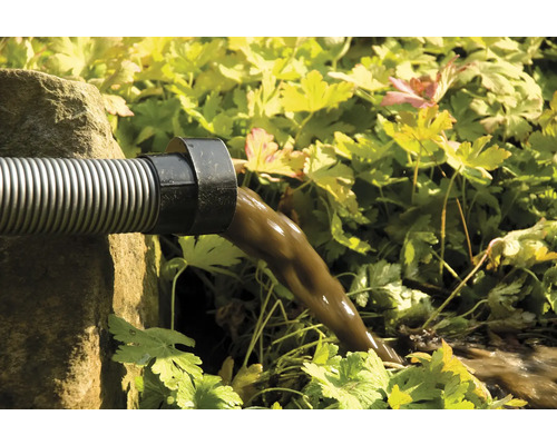 De l''eau marron s''écoule d''un tuyau de drainage dans un jardin.