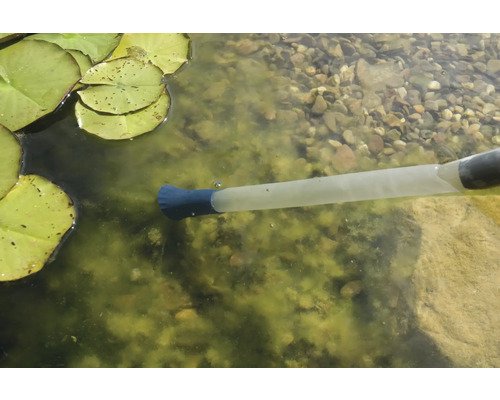 Nettoyage de bassin avec aspirateur de bassin entre les feuilles de nénuphar
