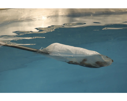 Épuisette de piscine dans l''eau avec des impuretés