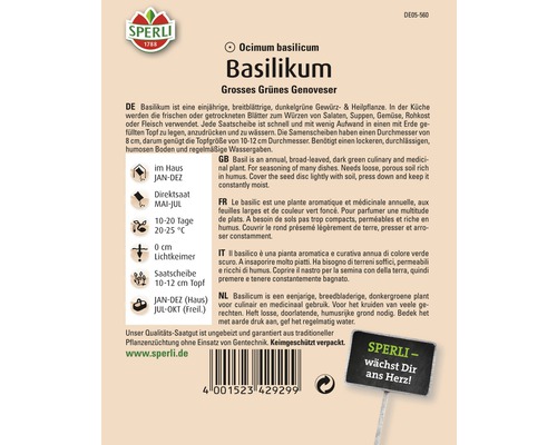 Samenpackung Basilikum Großes Grünes Genoveser