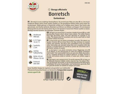 Sachet de graines de bourrache