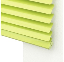 SOLUNA DIM-OUT Alu-Jalousie 120 x 240 cm limone, mit 20% mehr Lamellen zur besseren Verdunkelung