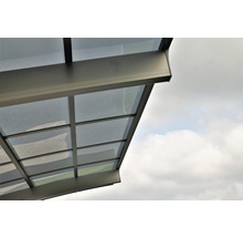 Auvent avec toit transparent