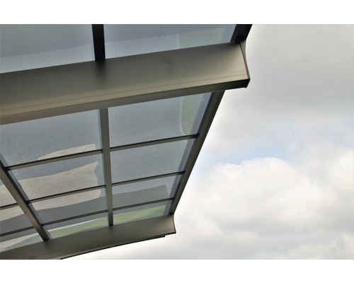 Auvent avec toit transparent