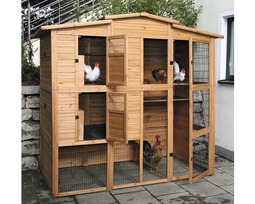 Grand poulailler en bois avec plusieurs poulets