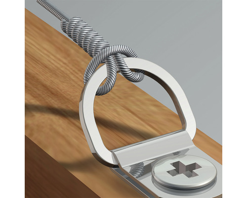 Detailansicht einer Bildaufhängung mit D-Ring, Schraube und Drahtseil