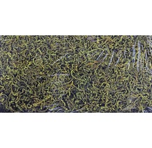 Touffe de mousse d''Islande dans un emballage