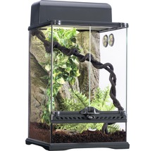 Ensemble terrarium Exo Terra Habitat de la Forêt tropicale Kit S