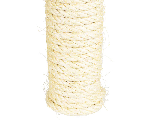 Gros plan d''un tronc d''arbre à chat enveloppé de sisal.