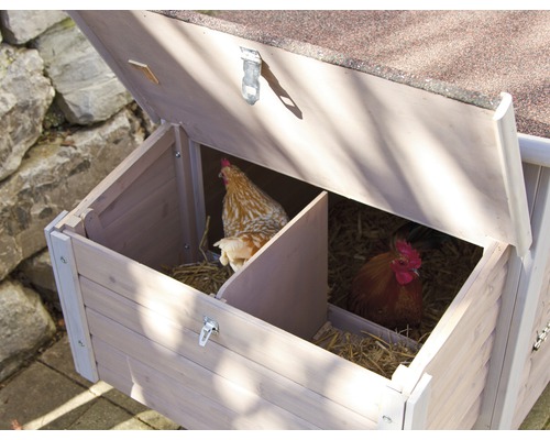 Poulailler avec deux poules à l''intérieur.